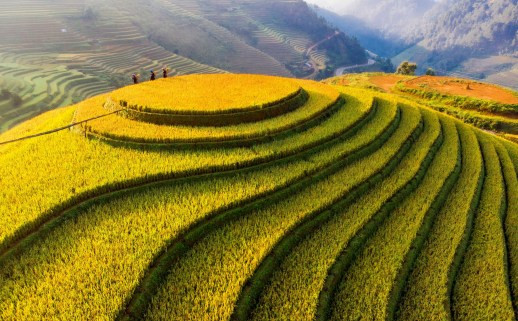 Báo quốc tế gợi ý những điểm nên ghé thăm ở Việt Nam - Hình 2 Bao quoc te goi y nhung diem nen ghe tham o Viet Nam-Hinh-2