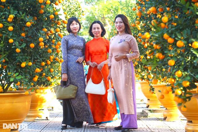 Làng quất cảnh Cẩm Hà được công nhận làng nghề truyền thống - Hình 2 Lang quat canh Cam Ha duoc cong nhan lang nghe truyen thong-Hinh-2