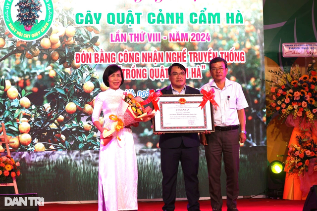 Làng quất cảnh Cẩm Hà được công nhận làng nghề truyền thống Lang quat canh Cam Ha duoc cong nhan lang nghe truyen thong