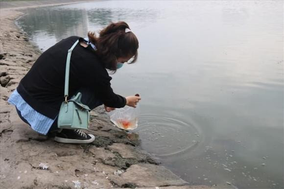Cần tránh những sai lầm khi thả cá chép trong ngày ông Công ông Táo - Hình 4 Can tranh nhung sai lam khi tha ca chep trong ngay ong Cong ong Tao-Hinh-4