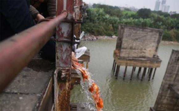 Cần tránh những sai lầm khi thả cá chép trong ngày ông Công ông Táo - Hình 3 Can tranh nhung sai lam khi tha ca chep trong ngay ong Cong ong Tao-Hinh-3