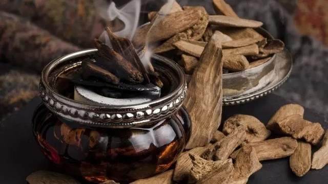 Trồng 6 cây cảnh lãi hơn mua vàng, mang tới phước lành - Hình 4 Trong 6 cay canh lai hon mua vang, mang toi phuoc lanh-Hinh-4
