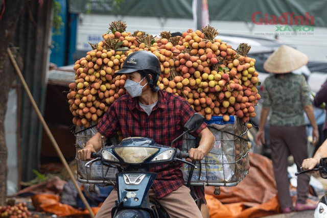 Dân Bắc Giang khóc ròng vì vải thiều được giá lại mất mùa - Hình 3 Dan Bac Giang khoc rong vi vai thieu duoc gia lai mat mua-Hinh-3