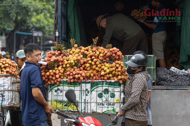 Dân Bắc Giang khóc ròng vì vải thiều được giá lại mất mùa - Hình 2 Dan Bac Giang khoc rong vi vai thieu duoc gia lai mat mua-Hinh-2