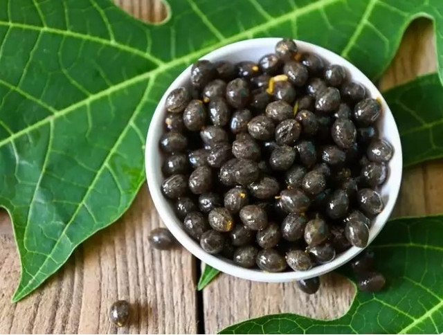 Hạt đu đủ quá nhiều lợi ích, chớ nên vứt Hat du du qua nhieu loi ich, cho nen vut