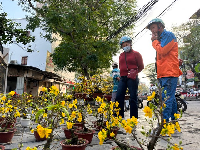 Người Hà Nội nườm nượp đi sắm Tết - Hình 6 Nguoi Ha Noi nuom nuop di sam Tet-Hinh-6