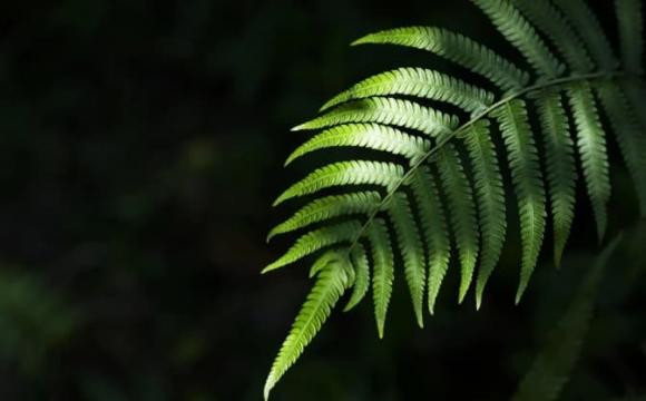 Ba điềm này xuất hiện trong gia đình, con cái sẽ 'thăng tiến, phú quý' Ba diem nay xuat hien trong gia dinh, con cai se 'thang tien, phu quy'