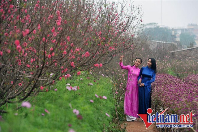 Giờ đẹp, hướng tốt xuất hành mùng 1 tết Quý Mão Gio dep, huong tot xuat hanh mung 1 tet Quy Mao