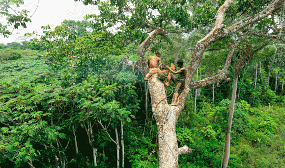 Bộ tộc 'người lùn' ở châu Phi 8 tuổi đã trưởng thành - Hình 4 Bo toc 'nguoi lun' o chau Phi 8 tuoi da truong thanh-Hinh-4