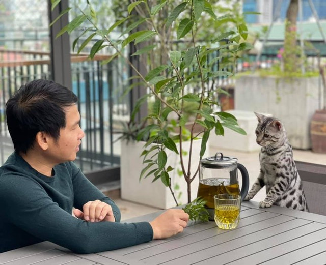 Mèo độc lạ và món lì xì không giống ai của ca sĩ Trọng Tấn - Hình 2 Meo doc la va mon li xi khong giong ai cua ca si Trong Tan-Hinh-2