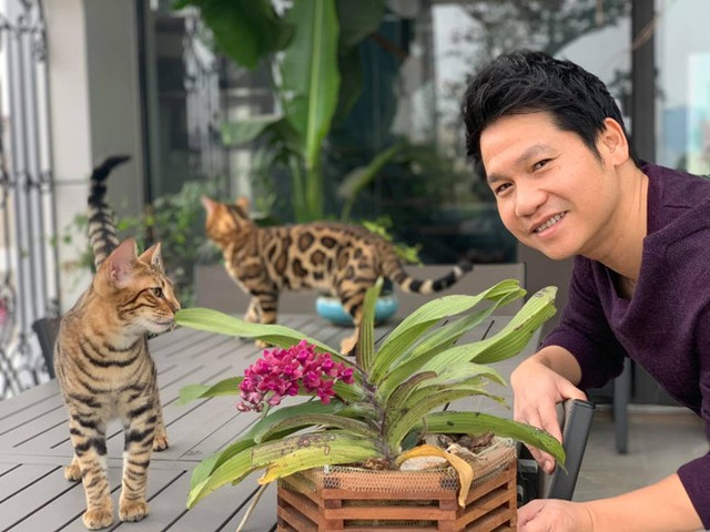 Mèo độc lạ và món lì xì không giống ai của ca sĩ Trọng Tấn - Hình 3 Meo doc la va mon li xi khong giong ai cua ca si Trong Tan-Hinh-3