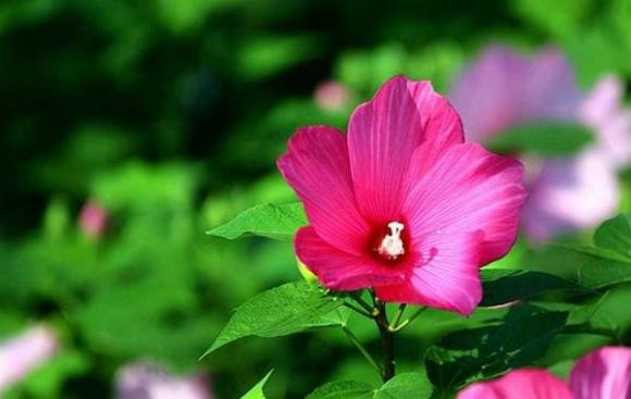 Về già, dù thương con đến mấy cũng đừng làm bốn điều này - Hình 3 Ve gia, du thuong con den may cung dung lam bon dieu nay-Hinh-3