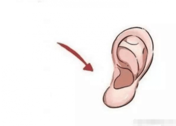 7 chỗ trên khuôn mặt nhìn thoáng qua có thể biết giàu nghèo - Hình 5 7 cho tren khuon mat nhin thoang qua co the biet giau ngheo-Hinh-5