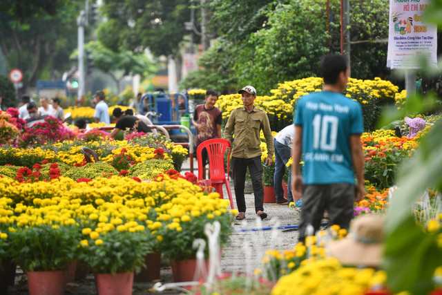 'Mười mấy năm bán hoa Tết chưa năm nào ế như năm nay' 'Muoi may nam ban hoa Tet chua nam nao e nhu nam nay'