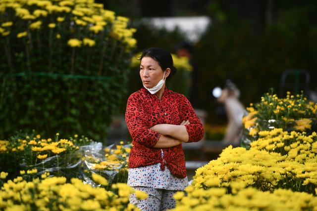 'Mười mấy năm bán hoa Tết chưa năm nào ế như năm nay' - Hình 3 'Muoi may nam ban hoa Tet chua nam nao e nhu nam nay'-Hinh-3