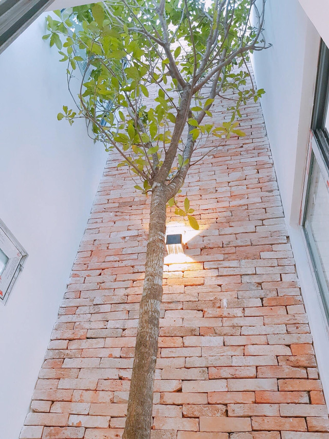 Căn nhà dùng tre trang trí mặt tiền, cây xanh trải khắp không gian - Hình 10 Can nha dung tre trang tri mat tien, cay xanh trai khap khong gian-Hinh-10