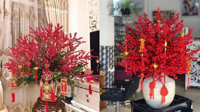 Trồng 3 cây phát lộc trong phòng khách - Hình 2 Trong 3 cay phat loc trong phong khach-Hinh-2