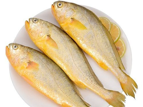 Những loại cá này nên mua ngay bởi cá ngọt thịt, ít xương - Hình 9 Nhung loai ca nay nen mua ngay boi ca ngot thit, it xuong-Hinh-9
