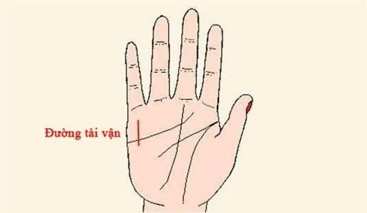Lòng bàn tay có 3 dấu hiệu phúc lộc sâu dày - Hình 2 Long ban tay co 3 dau hieu phuc loc sau day-Hinh-2