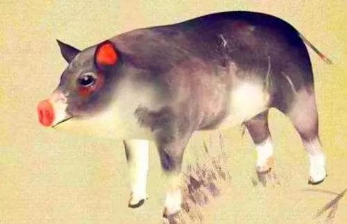 Ba con giáp dễ thành công trong sự nghiệp Ba con giap de thanh cong trong su nghiep