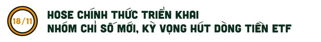 VN-Index một năm 'khó chơi' với nhà đầu tư - Hình 14 VN-Index mot nam 'kho choi' voi nha dau tu-Hinh-14