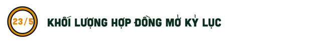 VN-Index một năm 'khó chơi' với nhà đầu tư - Hình 4 VN-Index mot nam 'kho choi' voi nha dau tu-Hinh-4