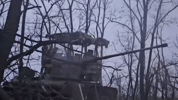 Tờ Bild viết: "Tuyến Berdychi - Semyonovka - Orlivka - Tonenke được Ukraine thiết lập như một vành đai phòng thủ, nhưng đã sụp đổ trước đòn tấn công của quân Nga. Hiện quân Nga vẫn tiếp tục tiến lên, nhưng cũng bị tổn thất nặng nề".