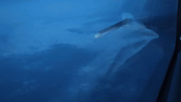 Đoạn video do Bộ Quốc phòng Nga công bố đã ghi lại khoảnh khắc cất cánh của một chiếc máy bay chở 4 quả bom chùm, cũng như 4 quả bom chùm RBK-500 tách khỏi máy bay, bay xuống vị trí của quân Ukraine.