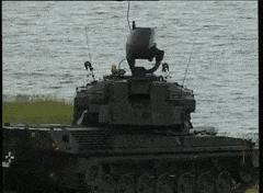 Gepard là loại pháo phòng không tự hành (SPAAG) do Cộng hòa Liên bang Đức (Tây Đức) trước kia phát triển, hiện đã loại khỏi biên chế chiến đấu từ năm 2010. SPAAG Gepard có khả năng hoạt động trong mọi thời tiết, chủ yếu dùng tiêu diệt mục tiêu ở độ cao thấp.