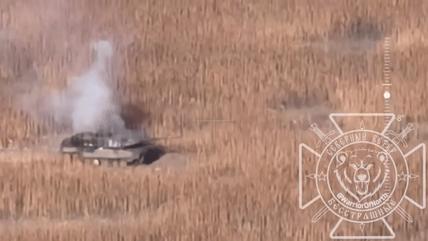 Báo cáo được cho là của phó tùy viên quân sự, của Đại sứ quán Đức tại Kiev, phổ biến vào tháng 1 cho khoảng 200 sĩ quan quân đội Đức (Bundeswehr) tại thành phố Delitzsch, bị rò rỉ trên nhiều phương tiện truyền thông của Đức. Báo cáo cho biết xe tăng Leopard 2 được quân đội Ukraine đánh giá bộc lộ nhiều hạn chế, trong môi trường chiến đấu thực tế.