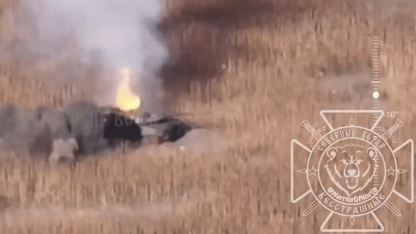 "Chúng ta không thể chỉ xem xét một con số nhỏ. Chúng ta phải giả định rằng sau khi xe bị hư hỏng, nó cần phải được sửa chữa và tình trạng không sử dụng được sẽ tồn tại trong một thời gian dài", Sarah Nanni cho biết.