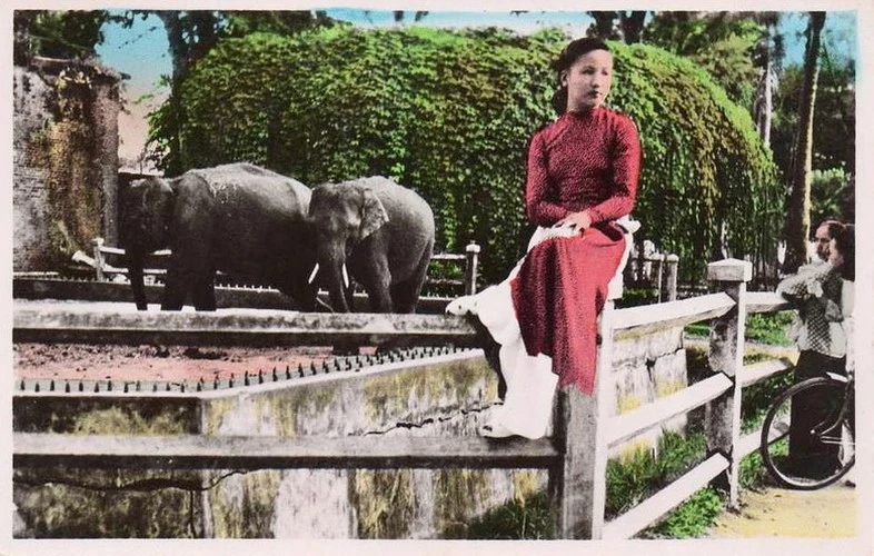 Du hí Thảo Cầm Viên Sài Gòn qua ảnh tô màu một thế kỷ trước