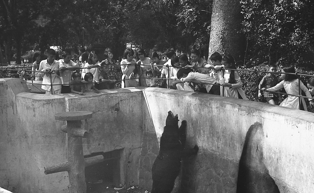 Ảnh độc về Thảo Cầm Viên SG 1970 của Carl Nielsen