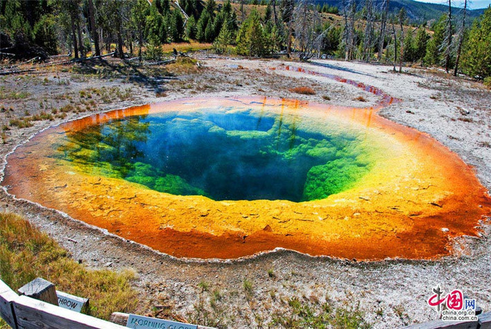 Vườn quốc gia có rất nhiều những thác nước cùng 4 dãy núi chạy qua. Yellowstone có gần 60 loài động vật có vú, bao gồm cả sói xám, gấu xám Bắc Mỹ, mèo rừng, bò rừng bizon, nai sừng tấm.