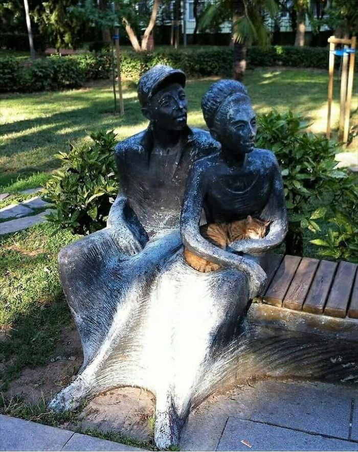 Dường như đây là nơi thoải mái nhất trong công viên cho chú mèo cưng này nghỉ ngơi.