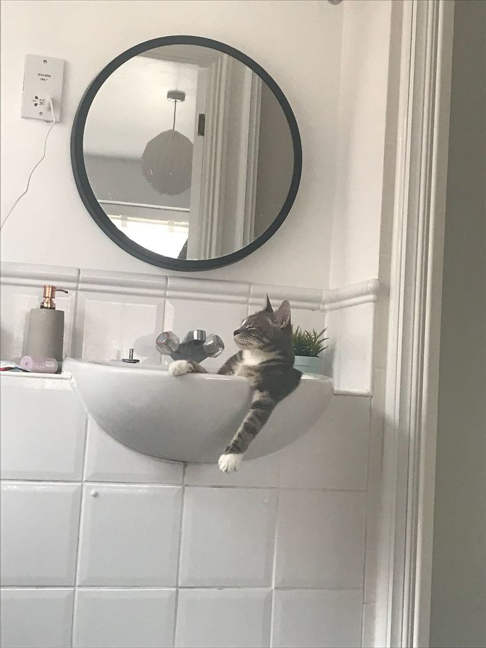 Thật thư thái!