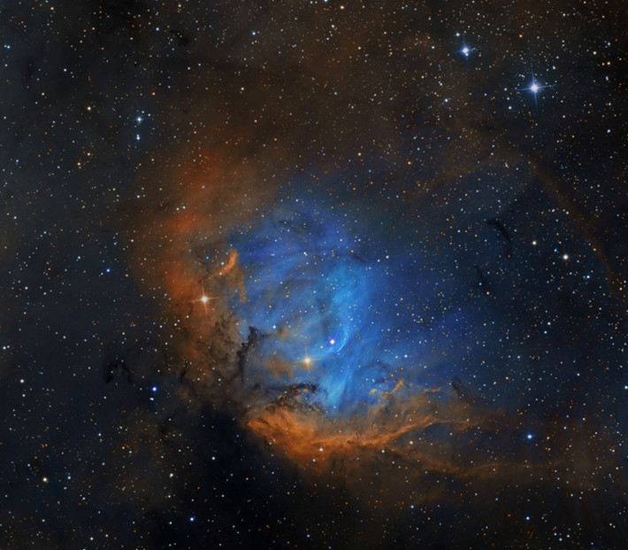 Vẻ đẹp ngỡ ngàng của tinh vân Hoa uất kim hương (The Tulip in the Swan Nebula) trong chòm sao Thiên Nga (Cygnus). Trải dài trên 70 năm ánh sáng, tinh vân xinh đẹp này nằm cách Trái Đất khoảng 8.000 năm ánh sáng./.