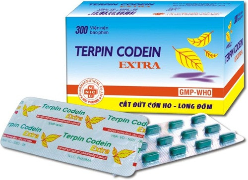 Dịp Tết, khí hậu thường lạnh và ẩm ướt, lại hay thay đổi đột ngột nên làm rối loạn khả năng chống đỡ với bệnh tật, nhất là ở trẻ em và người cao tuổi. Các triệu chứng như ngạt mũi, ho dễ xảy ra. Một số thuốc thường dùng để giảm ho như terpin, codein… Ngoài ra, cũng nên chuẩn bị ít thuốc nhỏ mũi như nước muối sinh lý 0,9% và thuốc nhỏ mũi loại co mạch như sulfarin (chống ngạt mũi).