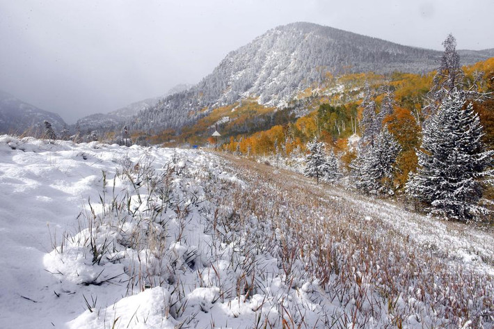 Tuyết phủ dày trên đường gần Frisco, Colorado.