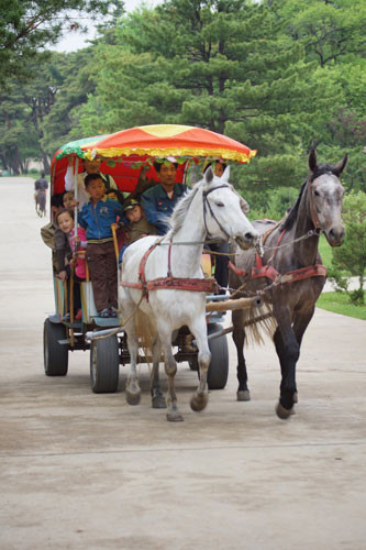 Đi xe ngựa tham quan vườn thú.