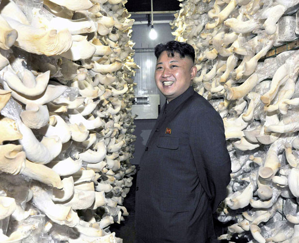 Báo Rodong Sinmun của Đảng Lao động Triều Tiên ngày 16/7 đăng tải hình ảnh nhà lãnh đạo trẻ Kim Jong Un tới thăm một nhà máy sản xuất nấm liên kết với đơn vị quân đội 534.