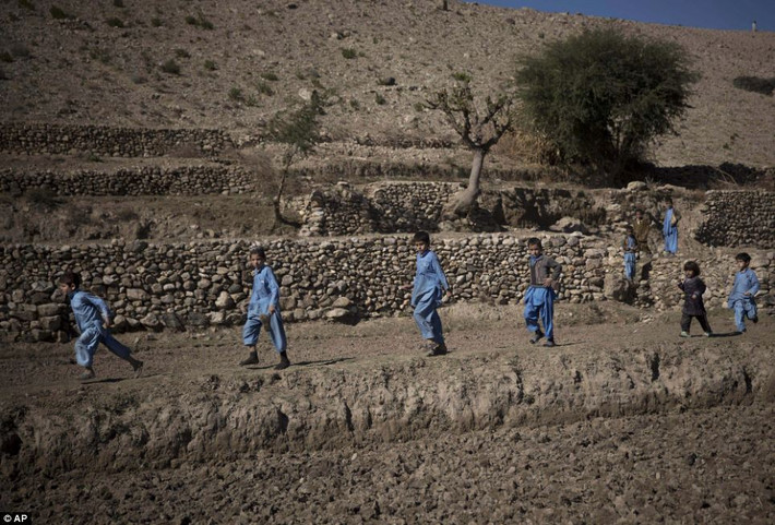 Đến mùa trồng anh túc, nhiều trẻ em Afghanistan phải nghỉ học để phụ giúp công việc ngoài cánh đồng. Phụ nữa và trẻ em ở đây thường được giao nhiệm vụ gieo hạt giống.