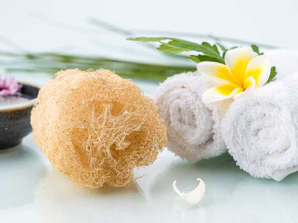 Thay bông tắm thường xuyên: Sau nhiều lần sử dụng, bông tắm sẽ chứa đầy vi khuẩn và tế bào chết. Nếu bạn tiếp tục sử dụng bông tắm cũ, bạn rất dễ bị viêm da hoặc dị ứng. Do đó, hãy thay bông tắm sau vài tháng sử dụng.