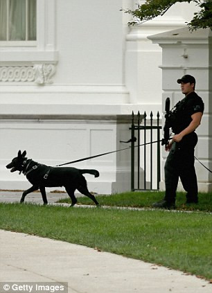Nhân viên mật vụ tuần tra xung quanh Nhà Trắng. Thời điểm xảy ra vụ bắn súng, Tổng thống Obama đang ở Nhà Trắng và đã được thông báo về vụ việc.