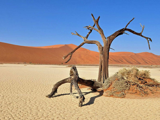 Vùng đất chết hay “Đầm lầy chết” ở Namibia được bao quanh bởi các đụn cát cao nhất trên thế giới rải rác nhiều cây chết khô hơn 900 năm tuổi.