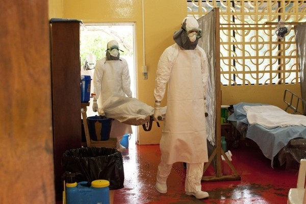 Nhằm ngăn chặn dịch bệnh Ebola vào Việt Nam, Bộ y tế đã đưa ra nhiều biện pháp như: Tăng cường giám sát khách nhập cảnh, giám sát các trường hợp nghi ngờ mắc bệnh trong cộng đồng.
