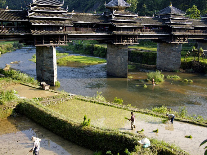 Những cây cầu do người Động xây dựng được gọi là “cầu Phong vũ” vì có mái che giúp người đi đường tránh mưa nắng.