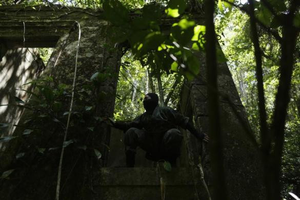 Một chuyên gia bậc thầy về ninja Nhật người Brazil luyện tập các kỹ năng trong rừng.