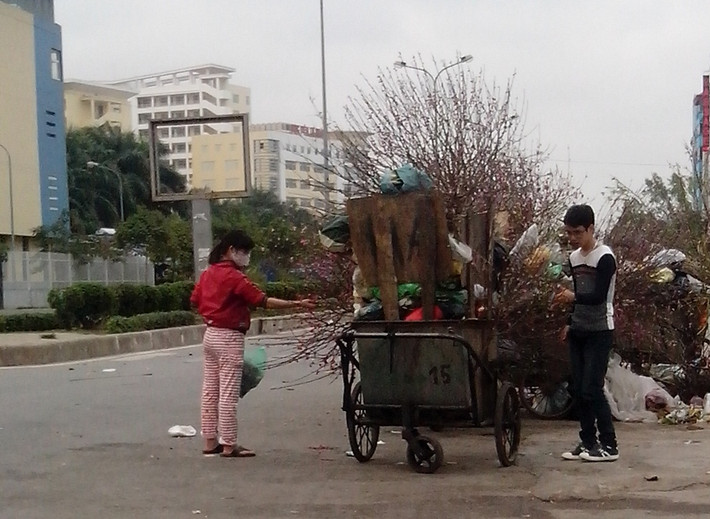 Trong khi đó, rất nhiều người tranh thủ hái nụ đào về làm thuốc bởi theo họ, những nụ đào chưa nở chữa bệnh rất tốt mà nhiều người không biết, nên đã lãng phí vứt bỏ.