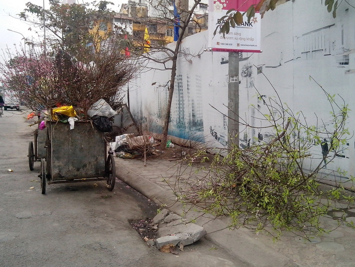 Đa số là các loại đào cành, đào rừng hoặc những cây đào nhỏ không thể nuôi, trồng cho tết năm sau.
